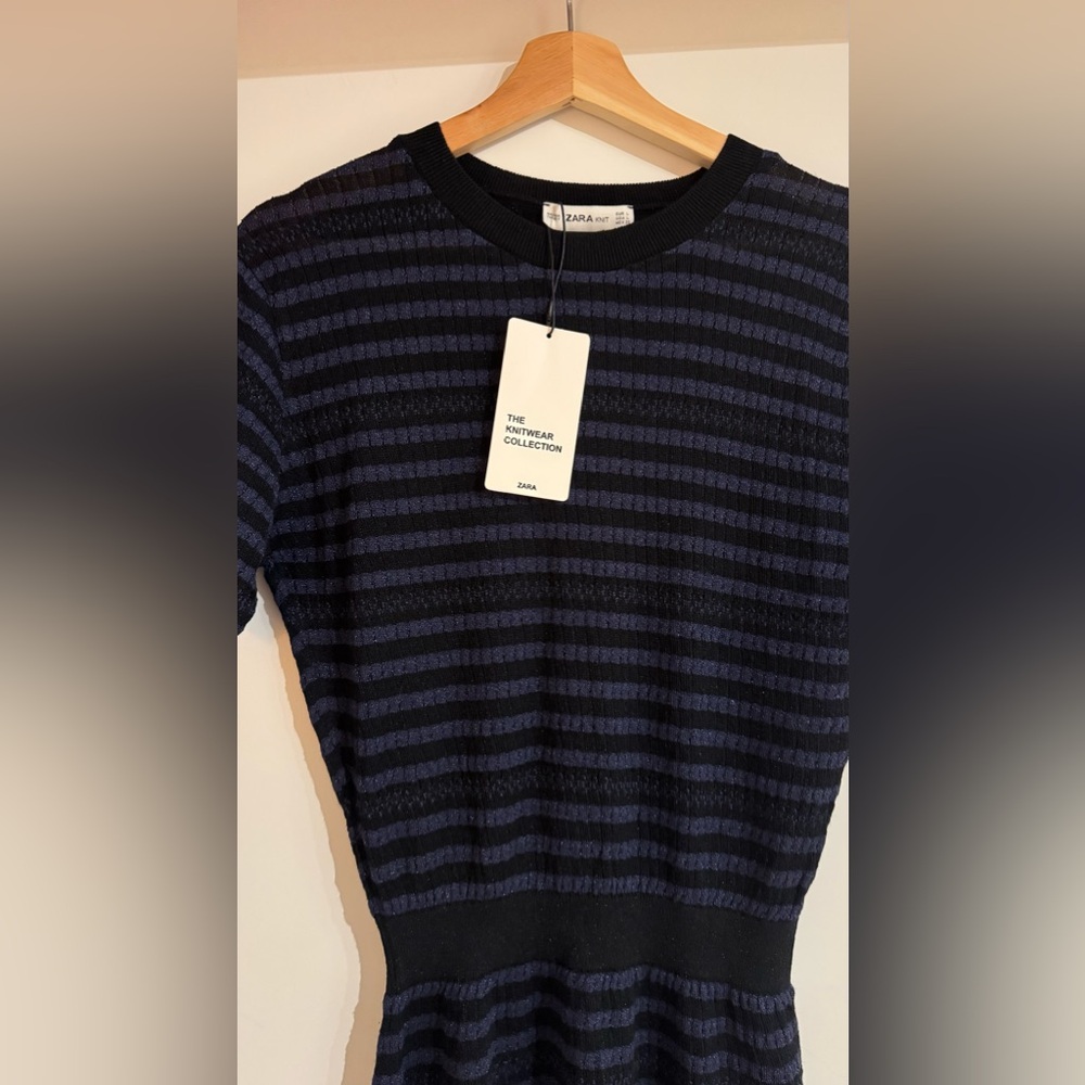 Zara Dress NWT
